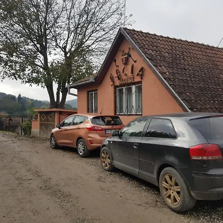 Casa Dalia Transilvania Guest house *