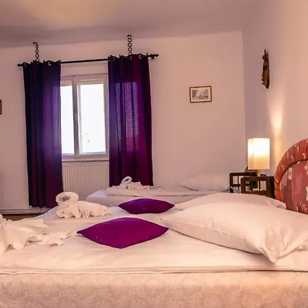 Guest house Casa Dalia Transilvania