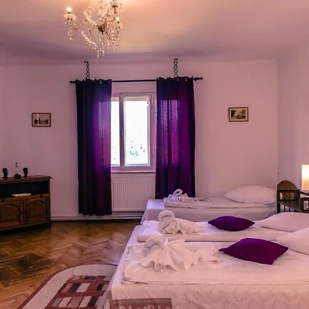 Casa Dalia Transilvania Guest house