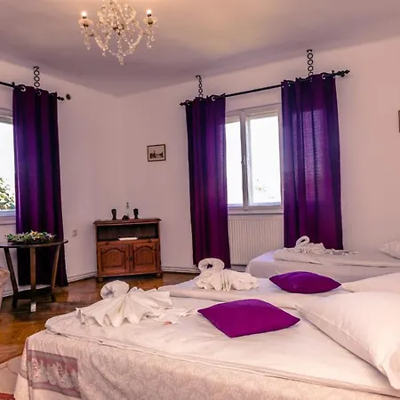 Casa Dalia Transilvania * Sighisoara