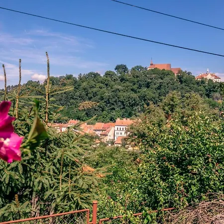 Casa Dalia Transilvania Sighisoara