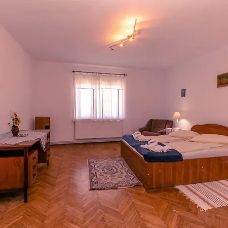 Guest house Casa Dalia Transilvania *