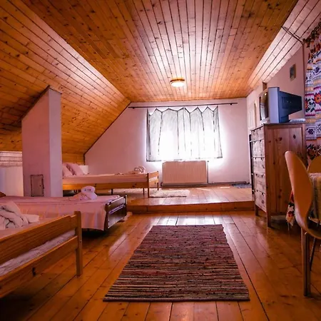 Guest house Casa Dalia Transilvania