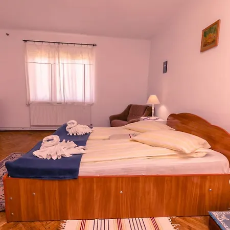 Guest house Casa Dalia Transilvania *
