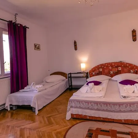 Guest house Casa Dalia Transilvania Sighisoara