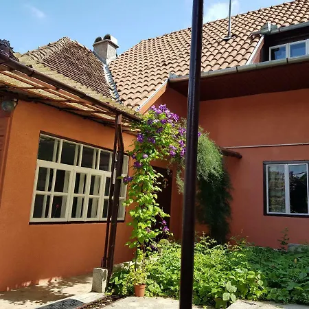 Casa Dalia Transilvania Guest house Sighisoara